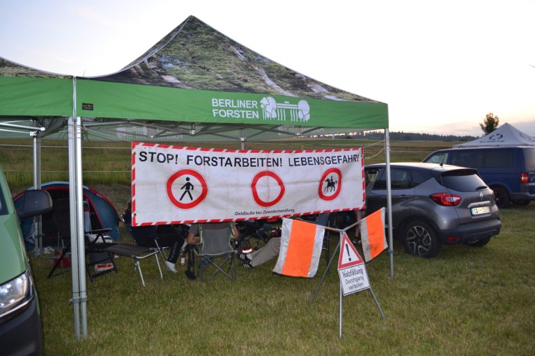 Berliner Forsten hat Ernsthausen eingenommen